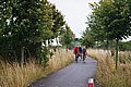 image0028_29.jpg