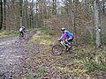 pict0023.jpg