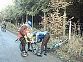 IMG_0010.JPG
