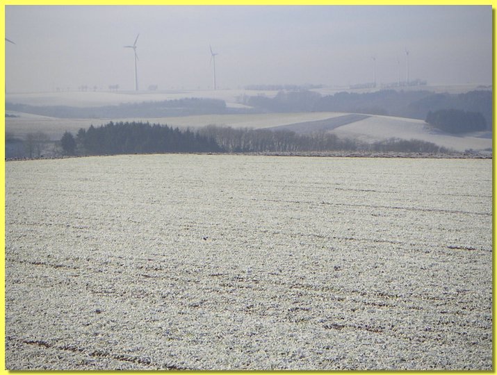 PICT0032.JPG