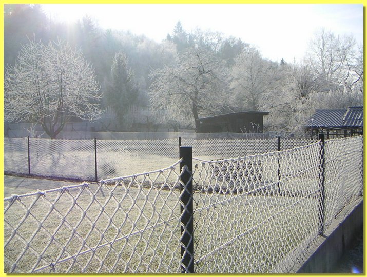 PICT0036.JPG