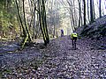 PICT0036.jpg