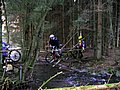 PICT0041.jpg