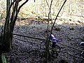 PICT0044.jpg