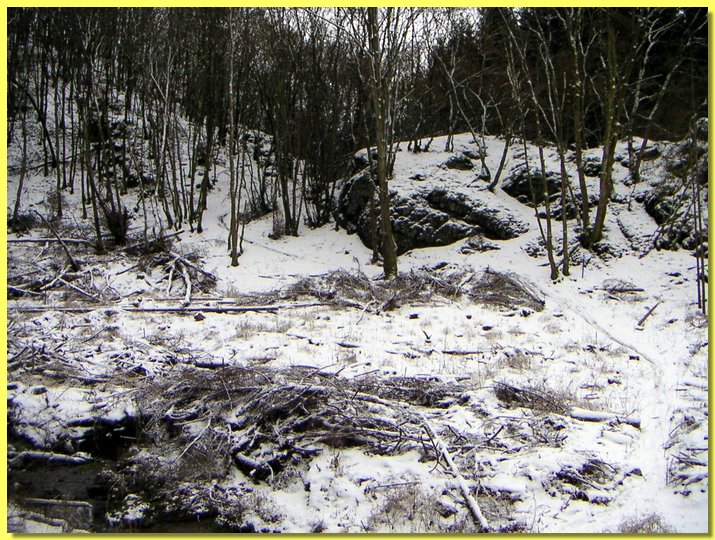 PICT0003-1.jpg