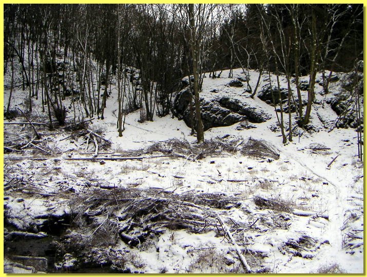 PICT0003.jpg