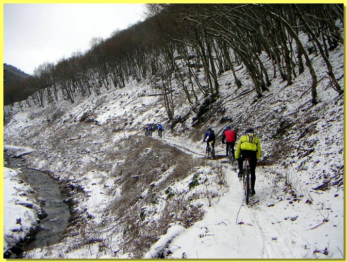 PICT0004-1.jpg