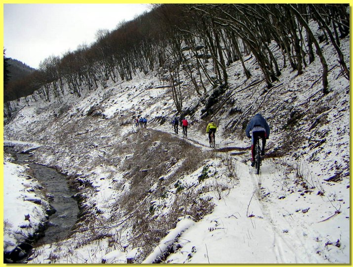 PICT0005-1.jpg