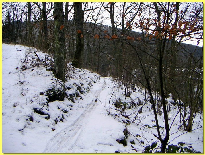 PICT0006-1.jpg
