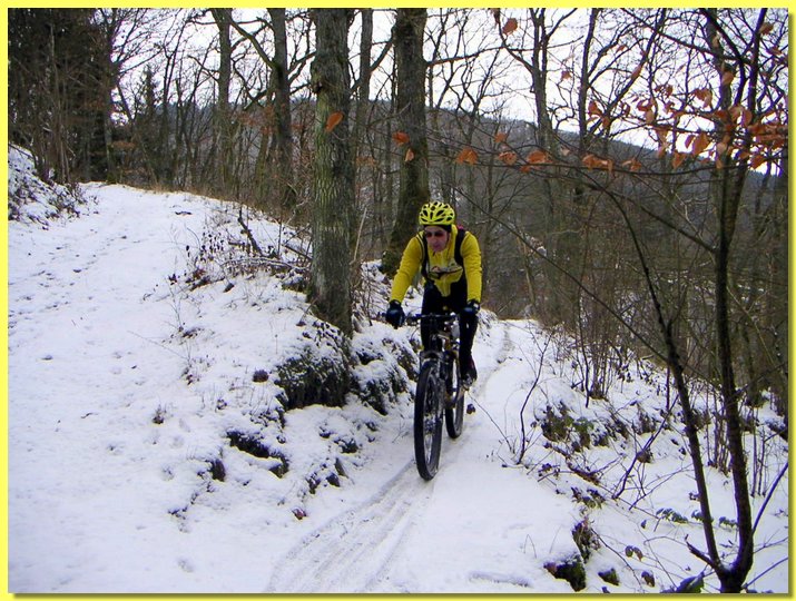 PICT0007-1.jpg