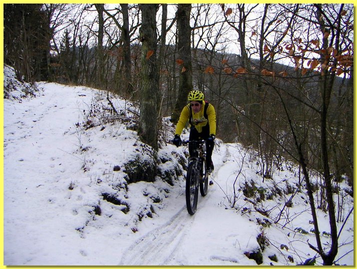 PICT0007.jpg