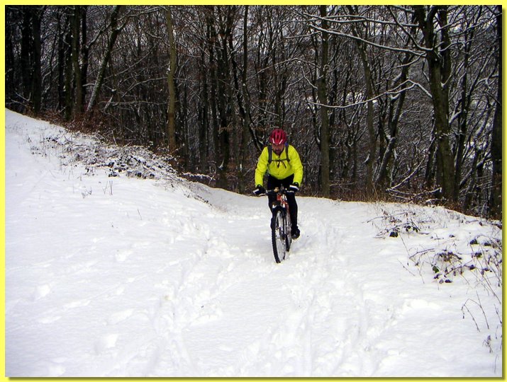PICT0015-1.jpg