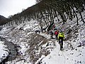PICT0004-1.jpg