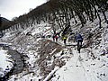 PICT0005-1.jpg