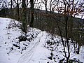 PICT0006.jpg