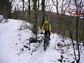 PICT0007-1.jpg