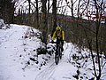 PICT0007.jpg