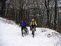 PICT0013.jpg