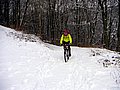 PICT0015.jpg