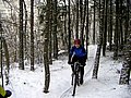 PICT0022.jpg