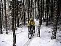 PICT0025-1.jpg