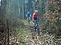 IMG_0059.jpg
