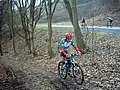 IMG_0070.jpg