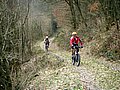 PICT0055.jpg