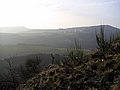 PICT0102.jpg