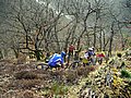 PICT0104.jpg
