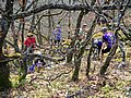 PICT0109.jpg