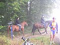 PICT0475.JPG