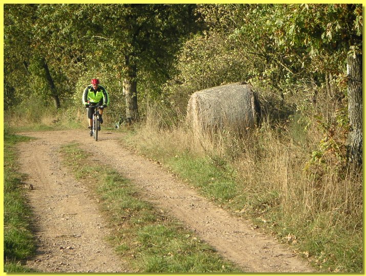 PICT0510.JPG
