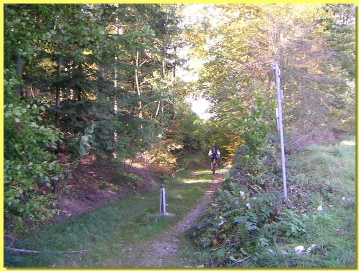 PICT0532.JPG
