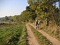 PICT0505.JPG