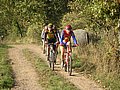 PICT0508.JPG