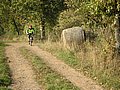 PICT0510.JPG