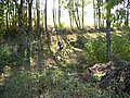 PICT0525.JPG