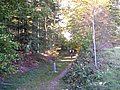 PICT0532.JPG
