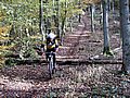 IMG_0015.jpg