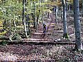 IMG_00161.jpg