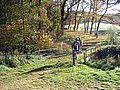 IMG_0010.jpg