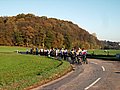 IMG_0027.jpg