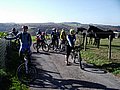 IMG_0080.jpg