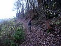 IMG_00051.jpg