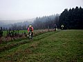 IMG_00081.jpg