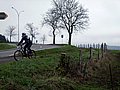 IMG_00101.jpg