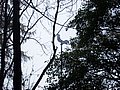 IMG_0015.jpg