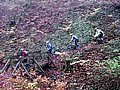 IMG_0017.jpg