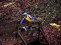 IMG_0021.jpg